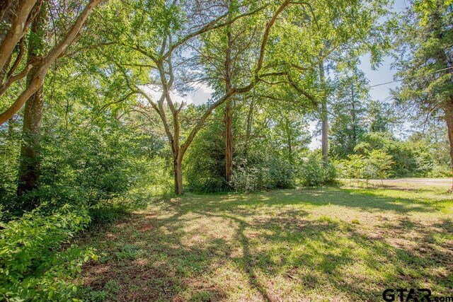 19588 County Road 481, Lindale, TX 75771 - photo 29