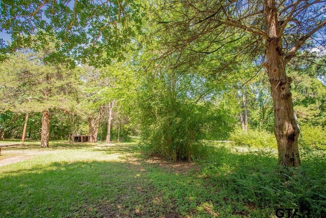 19588 County Road 481, Lindale, TX 75771 - photo 28