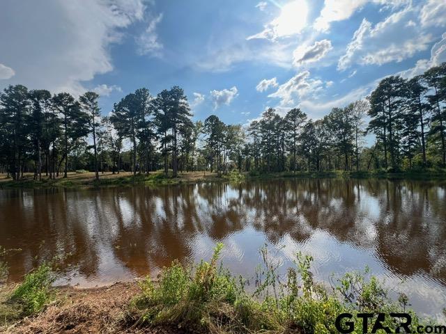 460ACRESOFF Watson Rd, Kilgore, TX 75662