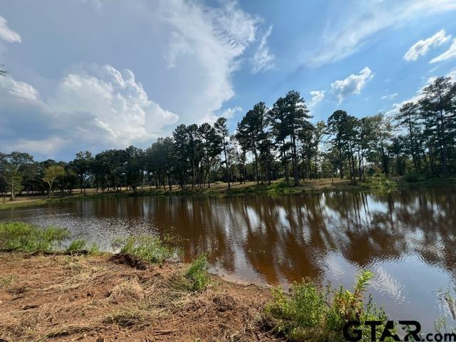 460ACRESOFF Watson Rd, Kilgore, TX 75662