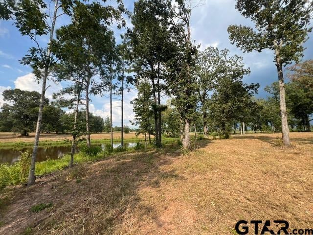460ACRESOFF Watson Rd, Kilgore, TX 75662
