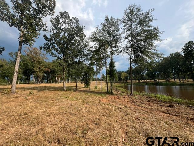 460ACRESOFF Watson Rd, Kilgore, TX 75662