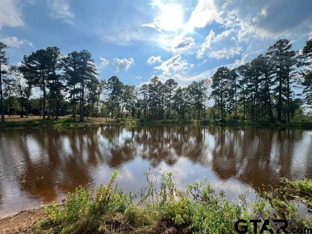 460ACRESOFF Watson Rd, Kilgore, TX 75662