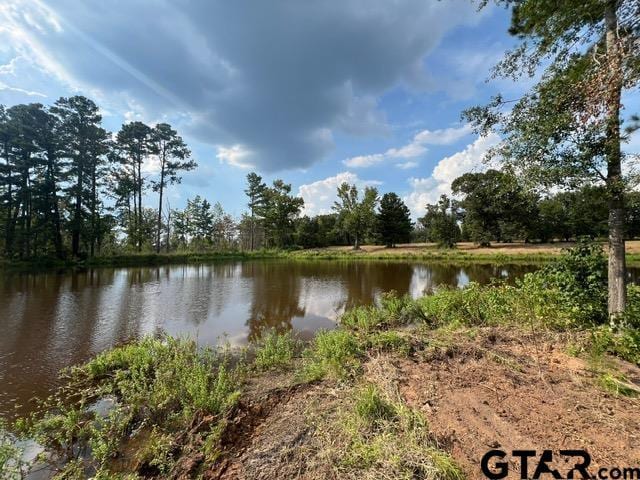 460ACRESOFF Watson Rd, Kilgore, TX 75662