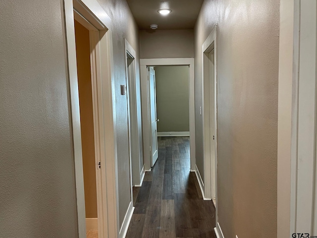 hall with dark hardwood / wood-style flooring