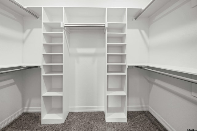 walk in closet featuring dark colored carpet