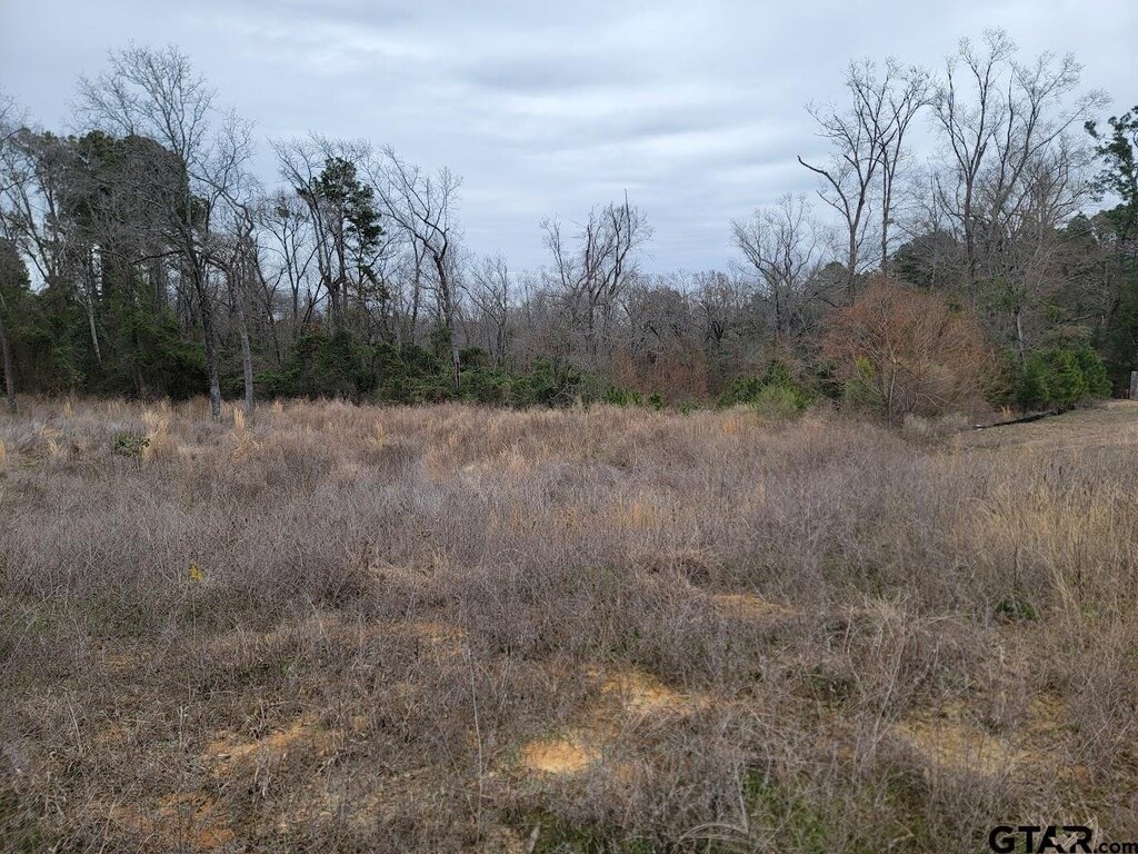 3515 Chapel Vw, Tyler, TX 75707 - photo 1