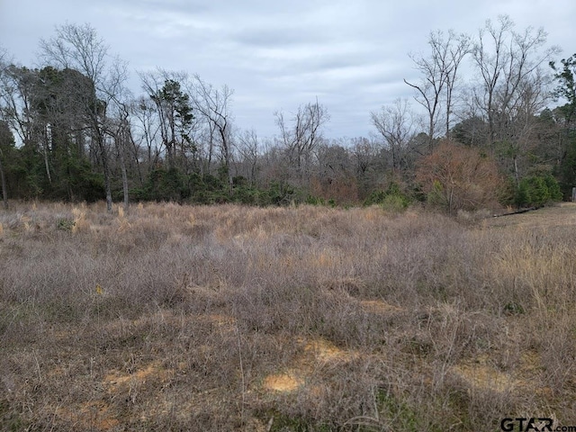3515 Chapel Vw, Tyler, TX 75707 - photo 1