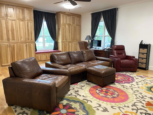 living room with ceiling fan and light hardwood / wood-style flooring