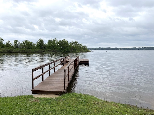 dock area with a water view