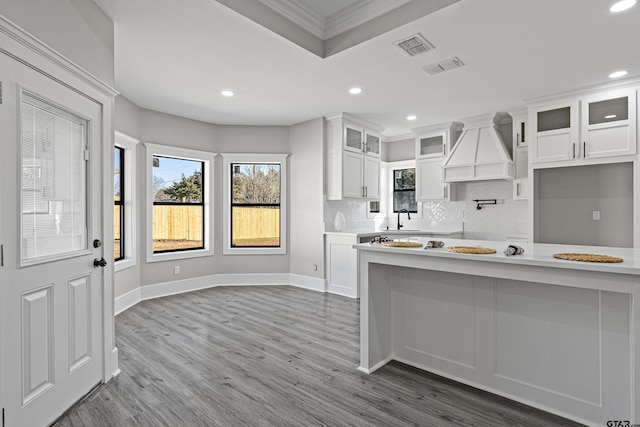 kitchen featuring crown molding, premium range hood, white cabinetry, tasteful backsplash, and wood-type flooring