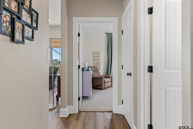 corridor with hardwood / wood-style flooring