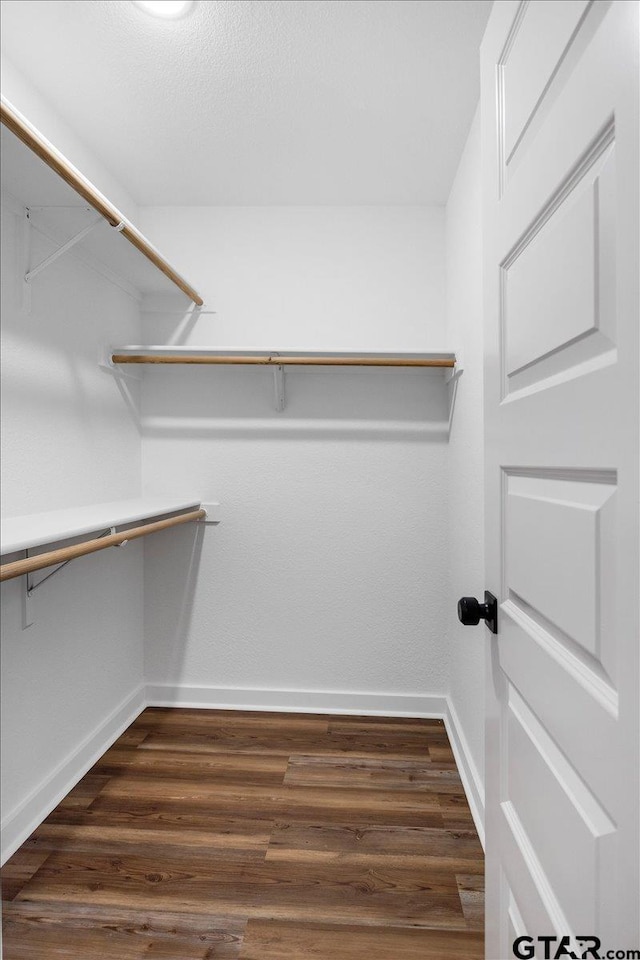 spacious closet featuring dark hardwood / wood-style flooring