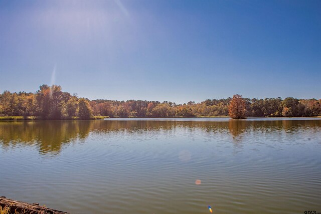 20035 County Road 4114, Lindale, TX 75771 - photo 1