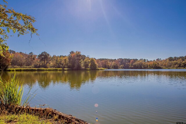 20035 County Road 4114, Lindale, TX 75771 - photo 2