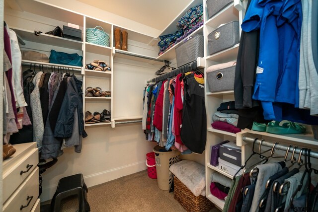 walk in closet with carpet