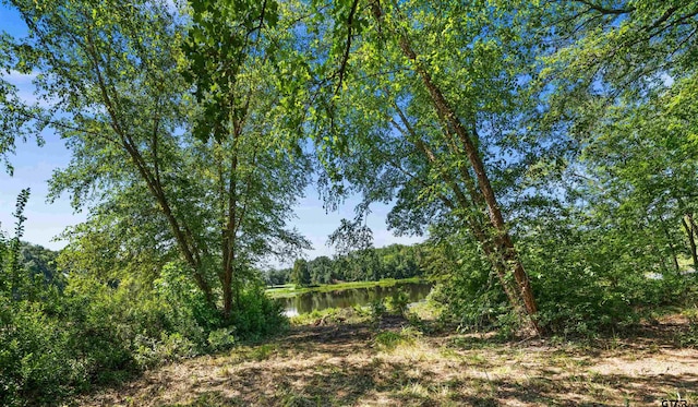 view of local wilderness featuring a water view