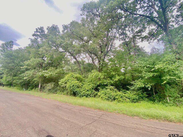 TBD Cr 3107, Crockett, TX 75835 - photo 4