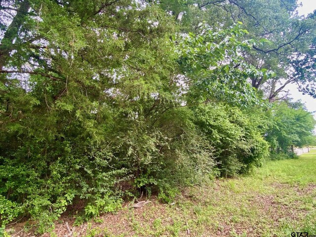 TBD Cr 3107, Crockett, TX 75835 - photo 7