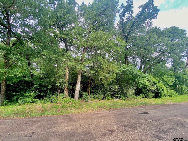 TBD Cr 3107, Crockett, TX 75835 - photo 5