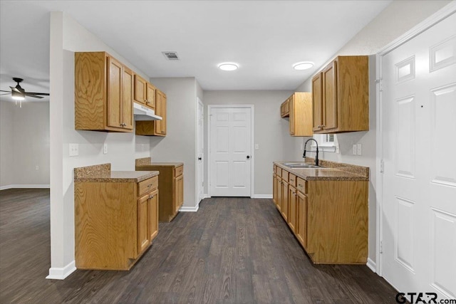 kitchen with ceiling fan, dark hardwood / wood-style floors, and sink