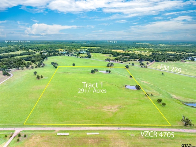 0000 Vz County Road 4705, Ben Wheeler, TX 75754 - photo 13