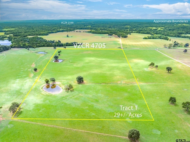 0000 Vz County Road 4705, Ben Wheeler, TX 75754 - photo 10