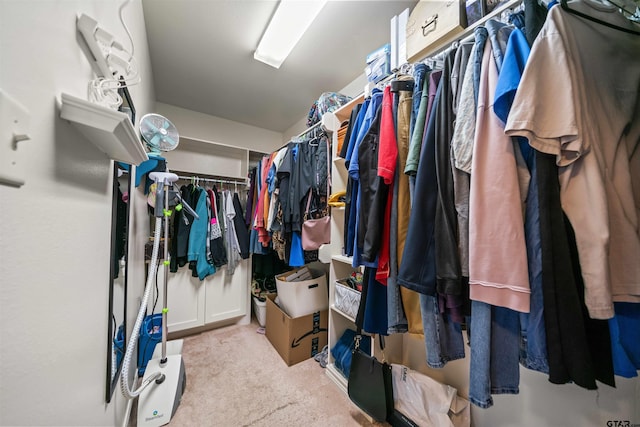 spacious closet featuring carpet