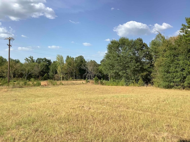 view of local wilderness