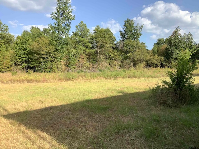 view of local wilderness