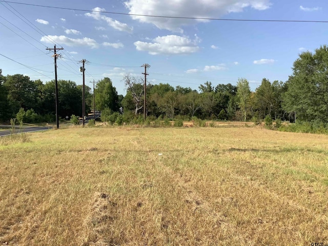 view of local wilderness