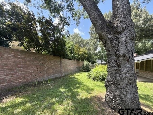 3606 Glendale Dr, Tyler, TX 75701 - view of yard