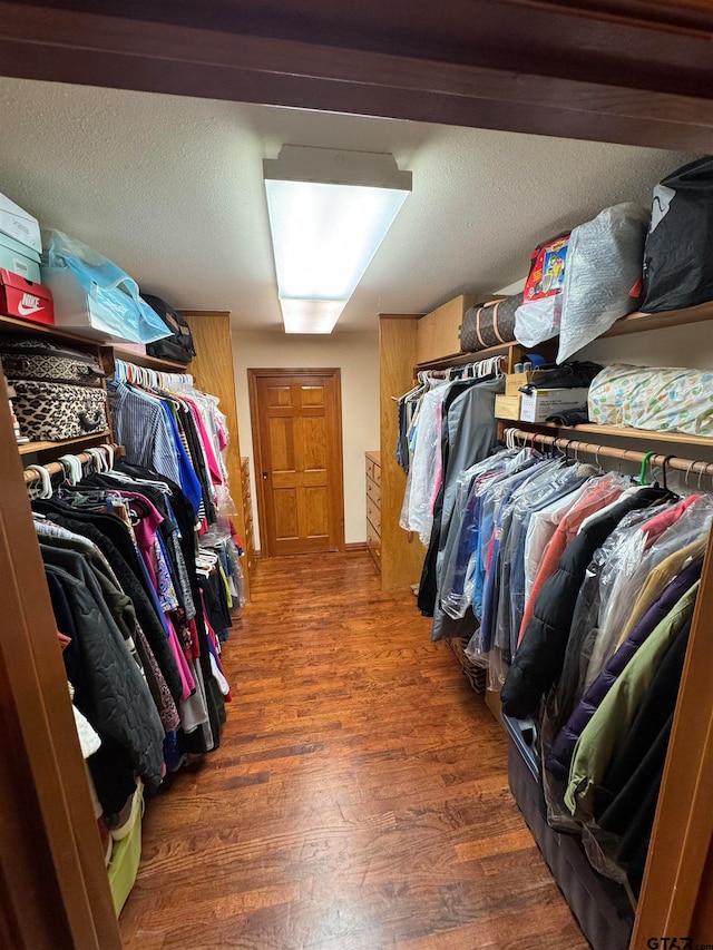 spacious closet with dark hardwood / wood-style flooring