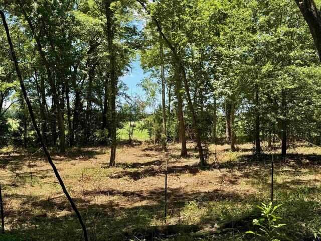 TBD Cr 4230, Mount Pleasant, TX 75455 - photo 7