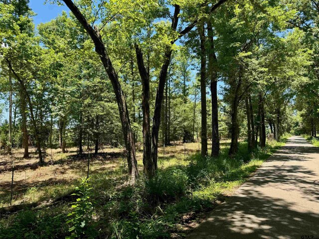 TBD Cr 4230, Mount Pleasant, TX 75455 - photo 6