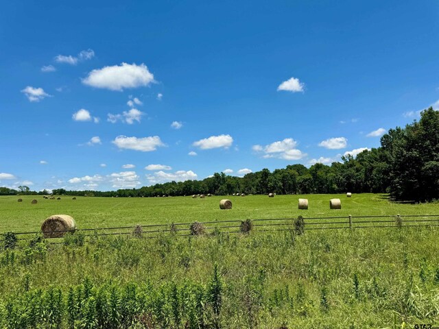 TBD Cr 4230, Mount Pleasant, TX 75455 - photo 9