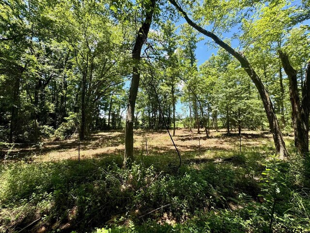 TBD Cr 4230, Mount Pleasant, TX 75455 - photo 8