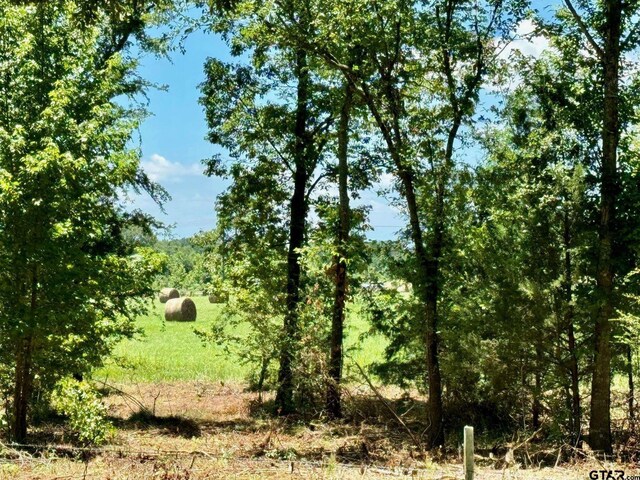 TBD Cr 4230, Mount Pleasant, TX 75455 - photo 4