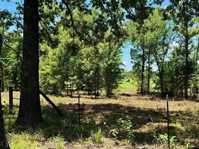 TBD Cr 4230, Mount Pleasant, TX 75455 - photo 5