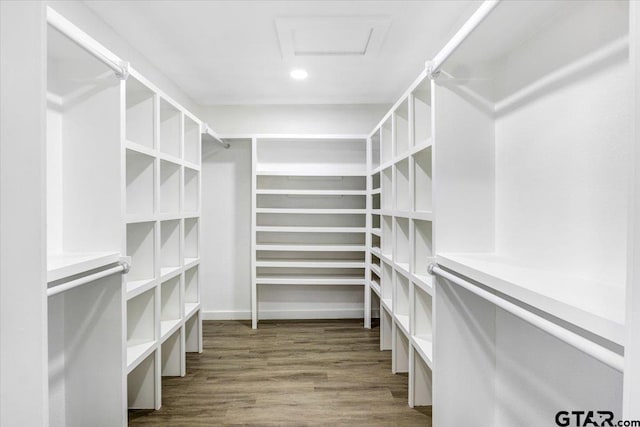 walk in closet with wood-type flooring