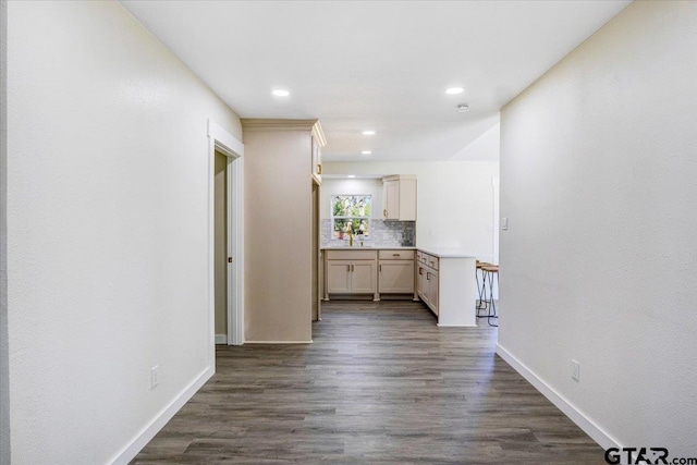 interior space featuring sink and dark wood-type flooring