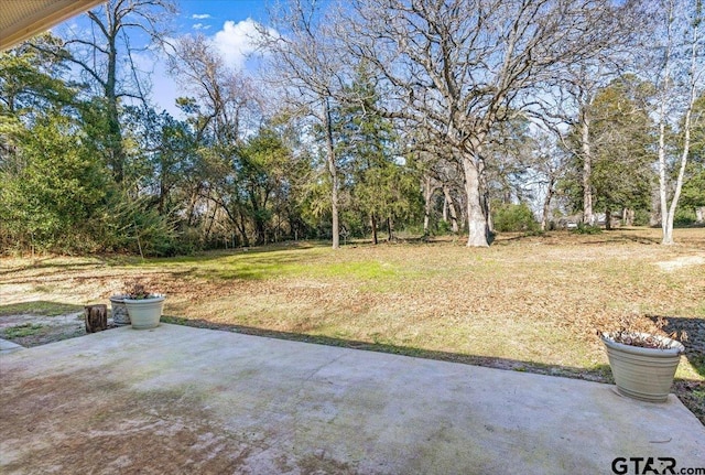 view of yard featuring a patio