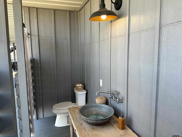 bathroom featuring wood finished floors, a sink, and toilet