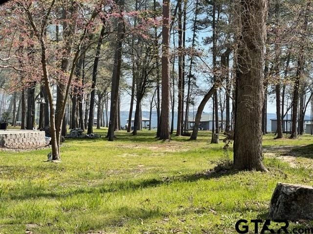 198 Crockett St, Bullard, TX 75757 - photo 4