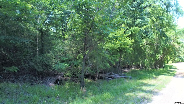 TBD Lakeview Dr, Crockett, TX 75835
