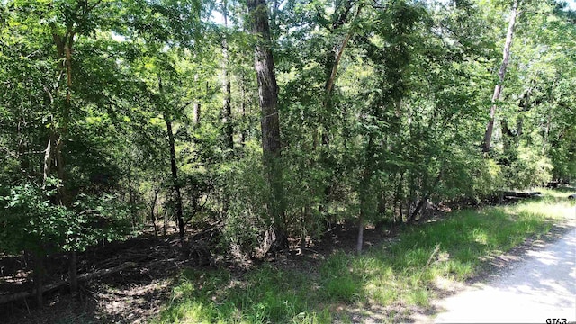 Listing photo 3 for TBD Lakeview Dr, Crockett TX 75835