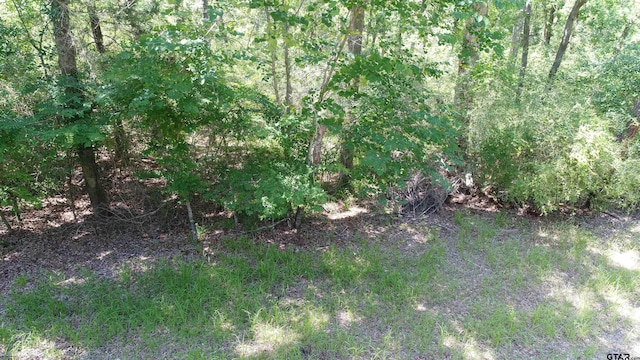 TBD Lakeview Dr, Crockett, TX 75835