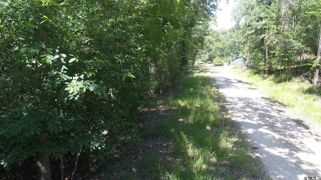 TBD Lakeview Dr, Crockett, TX 75835