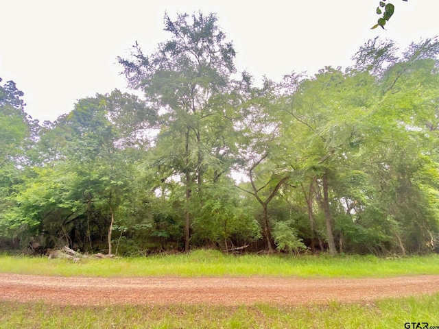 TBD Lakeview Dr, Crockett, TX 75835