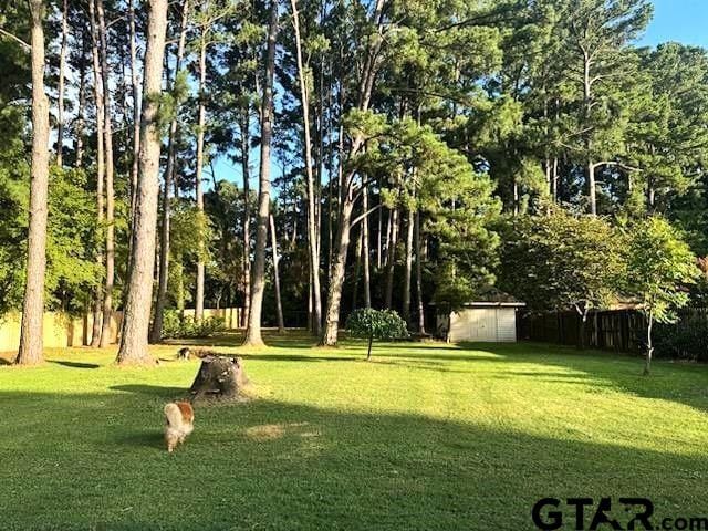 21105 Altuda Ln, Flint, TX 75762 - view of yard with a storage shed